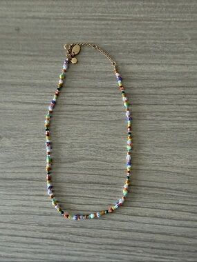 Aerie Gold Chain Multicolor Seed Bead Necklace